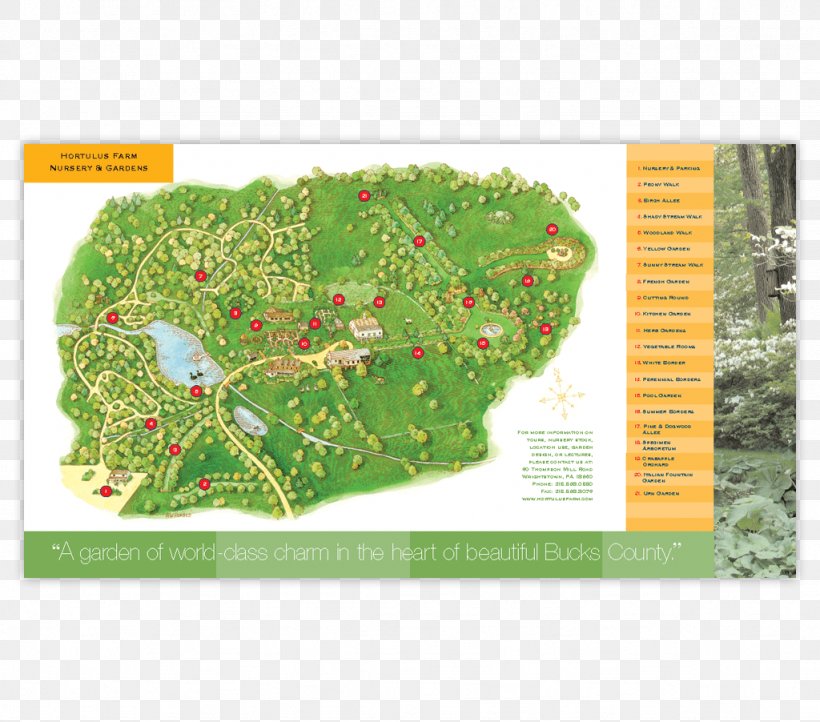 Leaf Ecosystem Urban Design Land Lot Map, PNG, 1024x902px, Leaf, Ecosystem, Flora, Grass, Land Lot Download Free
