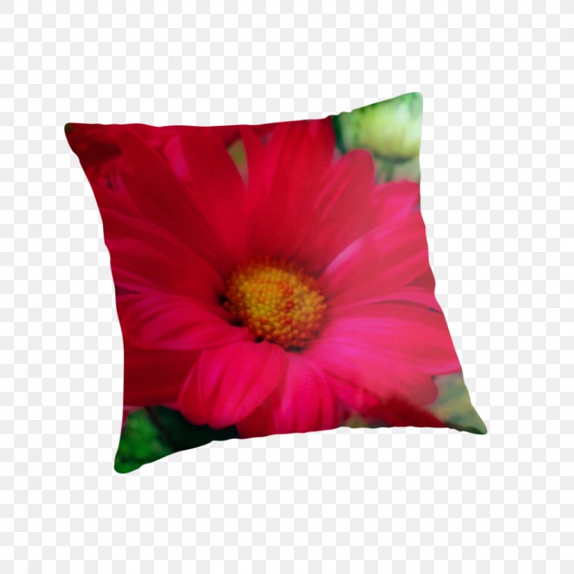 Transvaal Daisy Cushion Throw Pillows Magenta, PNG, 875x875px, Transvaal Daisy, Cushion, Flower, Flowering Plant, Gerbera Download Free