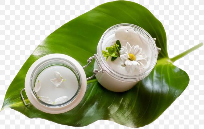 Cosmetics Cream Skin Care Massage, PNG, 880x556px, Cosmetics, Cream, Face, Facial, Food Download Free