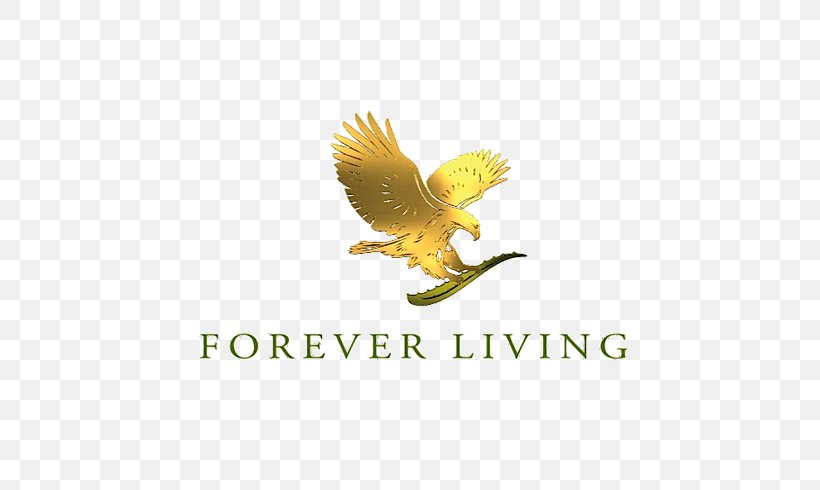 Forever Living Products MEDIA SECTOR Personal Care Amara Organics Aloe Vera Gel From Organic Cold Pressed Aloe Medifast, PNG, 536x490px, Forever Living Products, Aloe Vera, Beak, Brand, Company Download Free