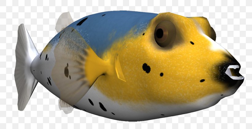 Marine Mammal Snout Fish, PNG, 800x419px, Marine Mammal, Fish, Mammal, Snout, Yellow Download Free