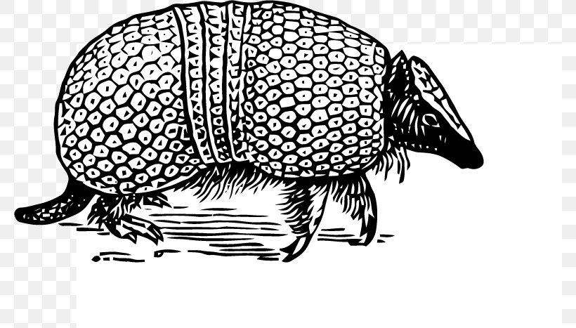 Nine-banded Armadillo, PNG, 780x467px, Armadillo, Art, Artwork, Black And White, Brazilian Threebanded Armadillo Download Free