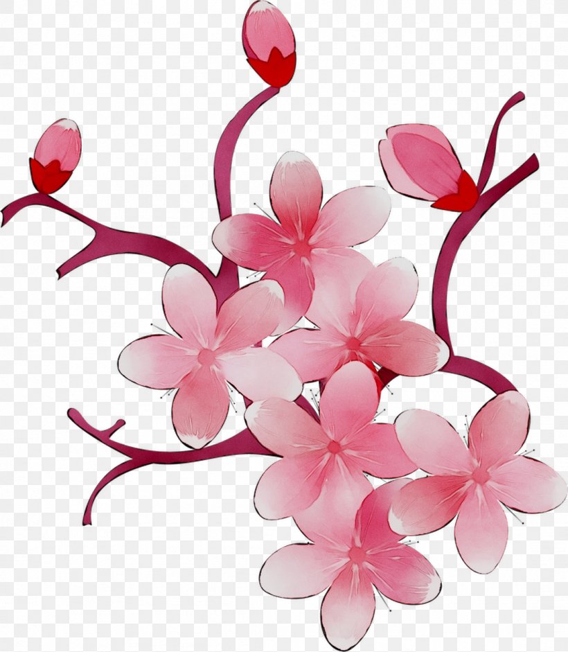 Cherry Blossom ST.AU.150 MIN.V.UNC.NR AD Flowering Plant Cherries, PNG, 1098x1261px, Blossom, Branch, Branching, Cherries, Cherry Blossom Download Free