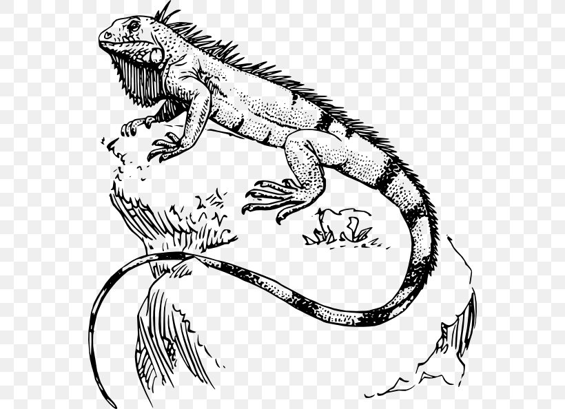 Lizard Reptile Polynesia Tattoo Green Iguana, PNG, 564x594px, Lizard, Amphibian, Art, Artwork, Black And White Download Free