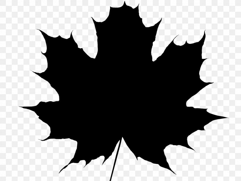 Maple Leaf Vector Graphics Royalty-free, PNG, 1600x1200px, Maple Leaf, Autumn, Autumn Leaf Color, Black, Black Maple Download Free