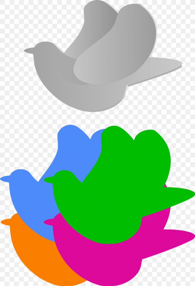 Rock Dove Bird Color Clip Art, PNG, 875x1280px, Rock Dove, Artwork, Bird, Color, Columbidae Download Free