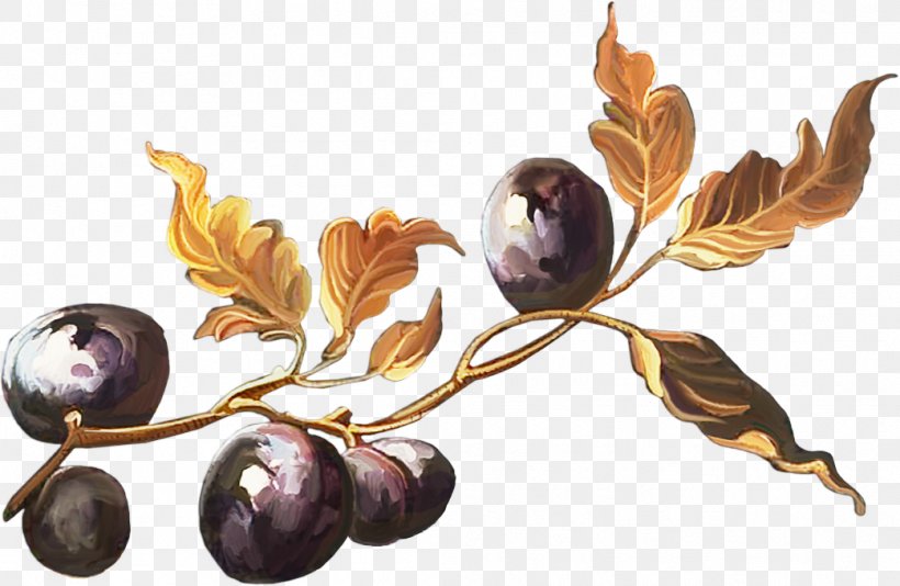 Fruit Auglis, PNG, 1042x679px, Fruit, Auglis, Branch, Drawing, Food Download Free