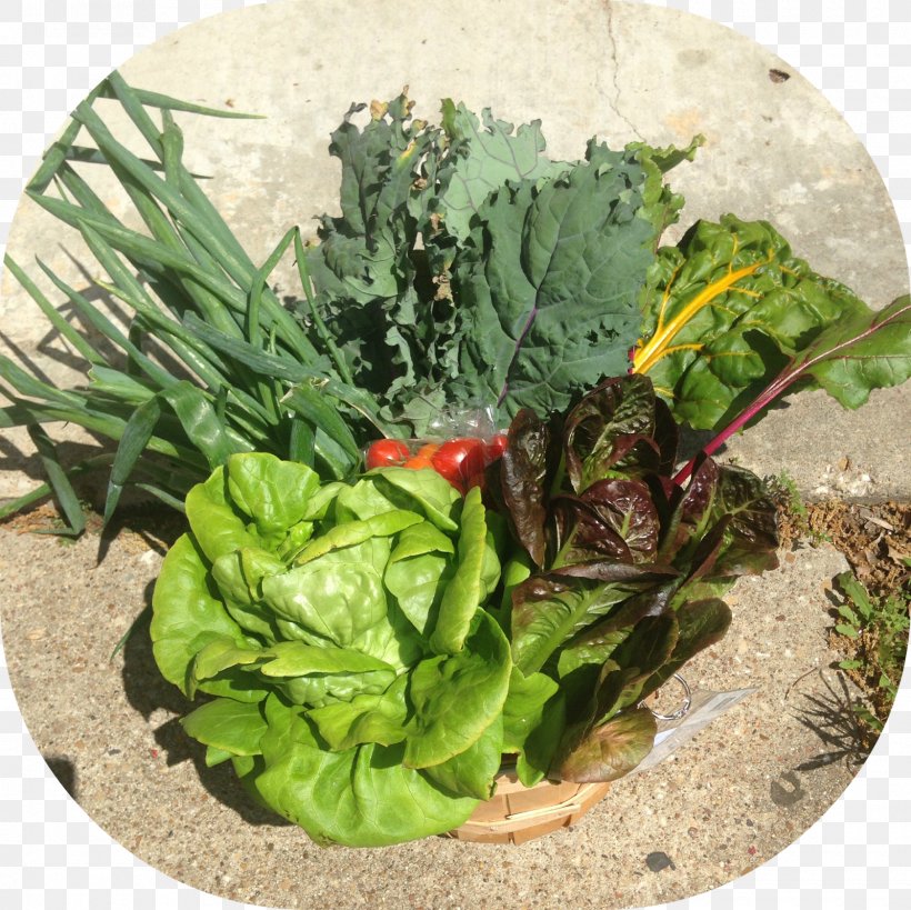 Leaf Vegetable Vegetarian Cuisine Spring Greens Chard, PNG, 1600x1600px, Leaf Vegetable, Chard, Food, Herb, La Quinta Inns Suites Download Free