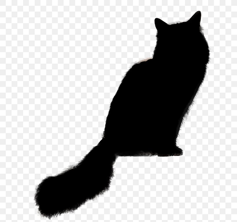 Cat Black Cat Small To Medium-sized Cats Tail Whiskers, PNG, 775x767px, Cat, Black Cat, Blackandwhite, Paw, Small To Mediumsized Cats Download Free