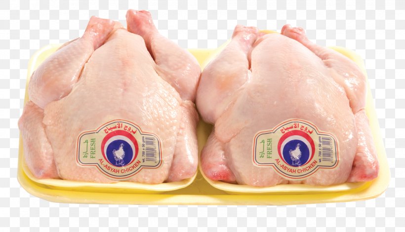 Chicken Meat Business Poultry, PNG, 1535x880px, Chicken, Animal Source Foods, Business, Egg, Meat Download Free