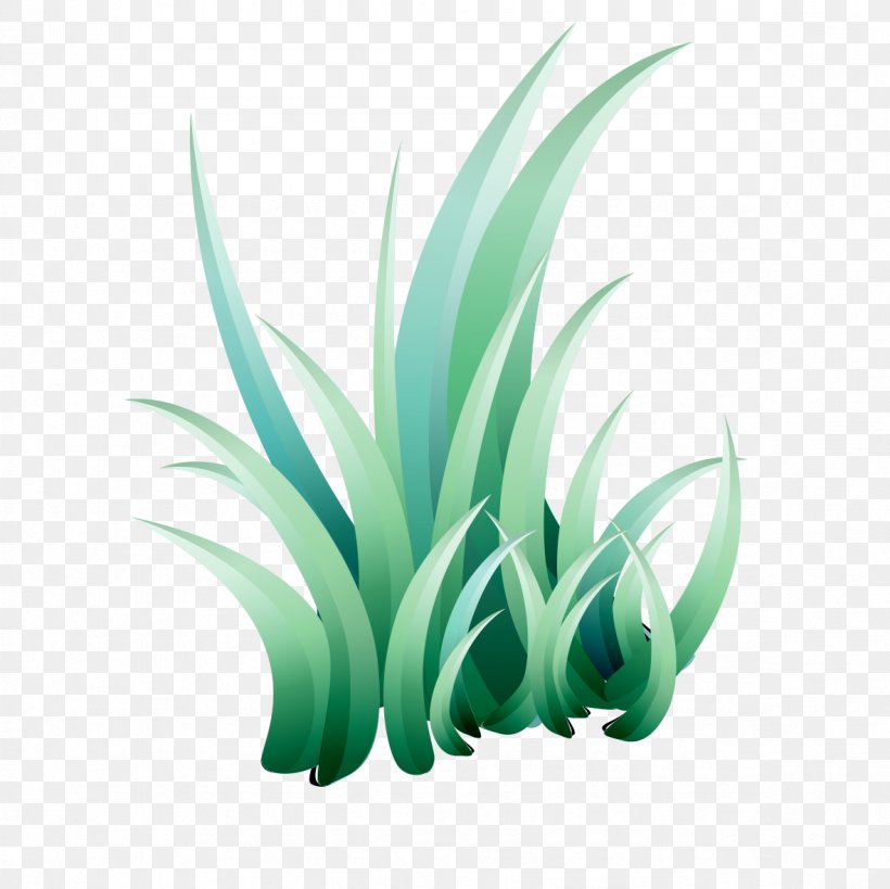 Clip Art, PNG, 1181x1181px, Animation, Computer, Flower, Grass, Green Download Free