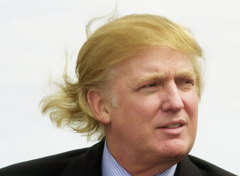 Donald Trump United States Comb Over Hairstyle, PNG, 1216x892px, Donald Trump, Actor, Breitbart News, Chin, Comb Over Download Free