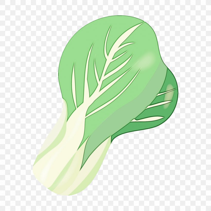 Green Grass Background, PNG, 1321x1321px, Wonton, Arum Family, Bean Sprout, Bok Choi, Feather Download Free