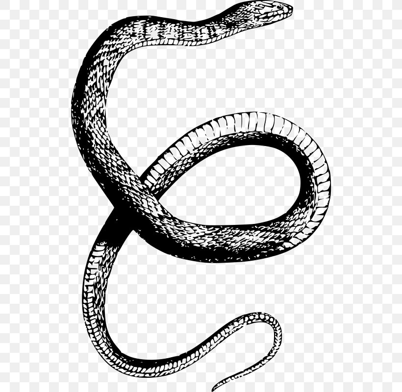 Rattlesnake Reptile Northern Water Snake Clip Art, PNG, 532x800px, Snake, Banded Water Snake, Black And White, Black Rat Snake, Body Jewelry Download Free