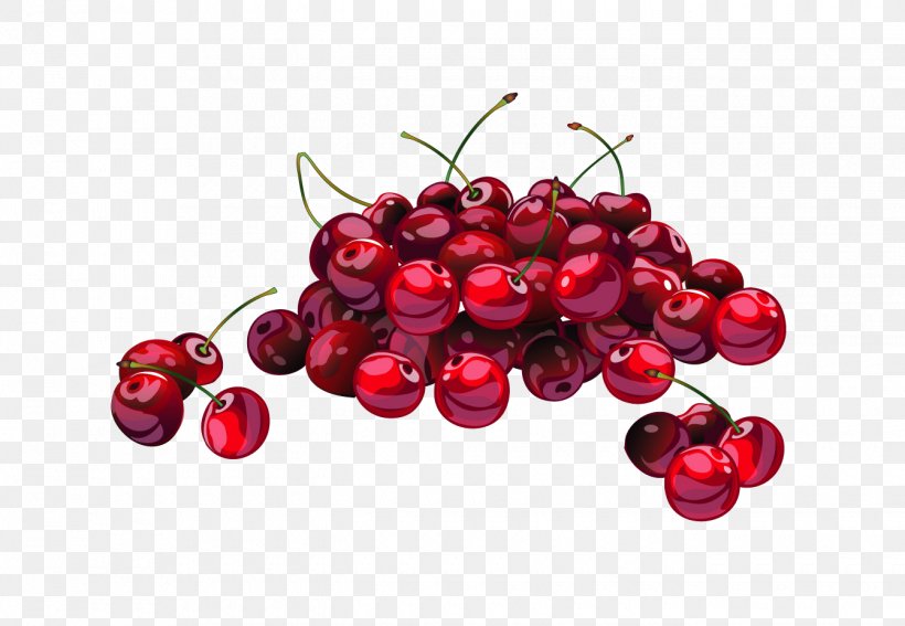 Cherry Blossom Frutti Di Bosco Clip Art, PNG, 1340x927px, Cherry, Berry, Cherry Blossom, Cranberry, Food Download Free