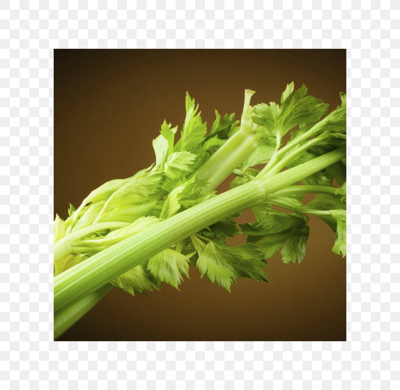 Coriander Celery Food Health Vegetable, PNG, 800x800px, Coriander, Alimento Saludable, Celery, Chard, Daucus Carota Download Free