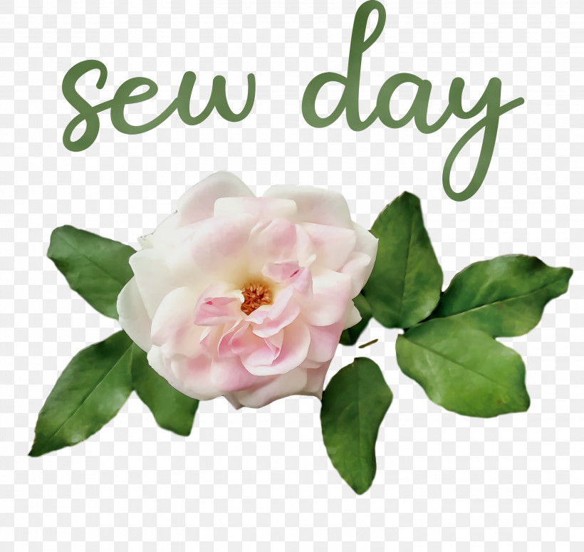 Garden Roses, PNG, 3000x2839px, Watercolor, Cut Flowers, Floral Design, Flower, Garden Download Free