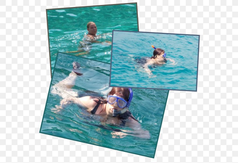 Swimming Pool Water Leisure Marine Mammal, PNG, 580x562px, Swimming, Aqua, Leisure, Mammal, Marine Mammal Download Free