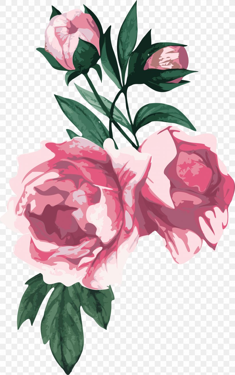 Centifolia Roses Flower Garden Roses Peony, PNG, 2504x4000px, Centifolia Roses, Art, Camellia, Cut Flowers, Floral Design Download Free