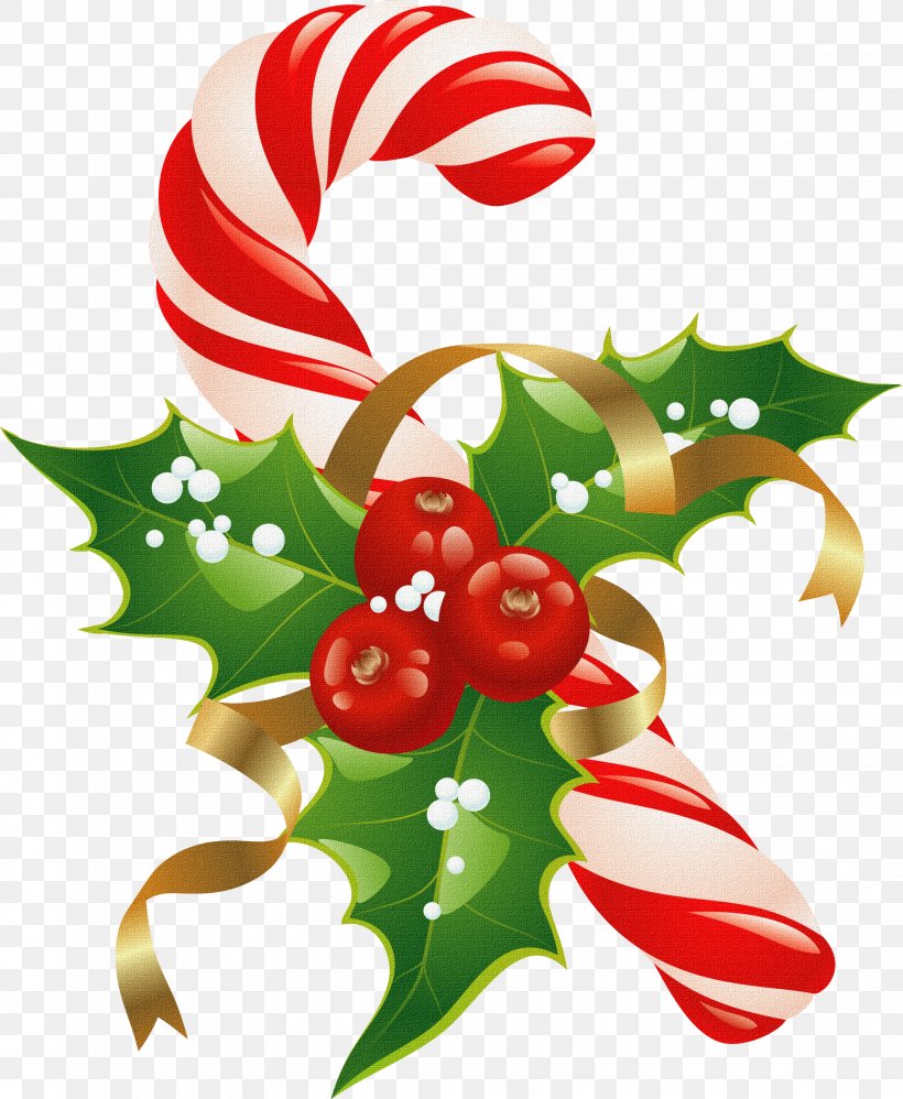 Christmas Decoration Bag Clip Art, PNG, 2056x2503px, Christmas, Aquifoliaceae, Aquifoliales, Bag, Christmas And Holiday Season Download Free