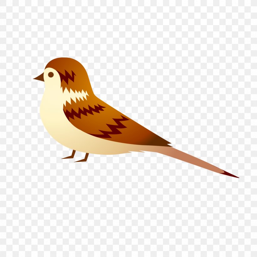 Flight Bird Beak, PNG, 1181x1181px, Flight, Beak, Bird, Designer, Fauna Download Free