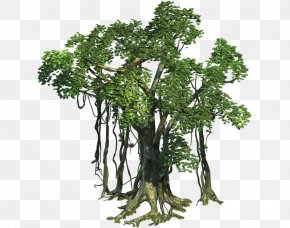 Tree - Clip Art Palm Trees Sprite Image PNG