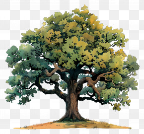 Oak Tree - Realistic Big Green Tree Painting PNG