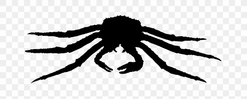 Arachnid Insect Silhouette Membrane, PNG, 1692x680px, Arachnid, Arthropod, Insect, Invertebrate, Membrane Download Free
