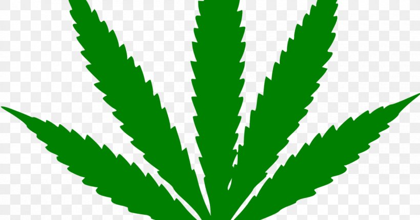 Cannabis Sativa Hemp Cannabis Cultivation Marijuana, PNG, 1200x630px, Cannabis, Autoflowering Cannabis, Cannabis Cultivation, Cannabis Sativa, Cannabis Smoking Download Free