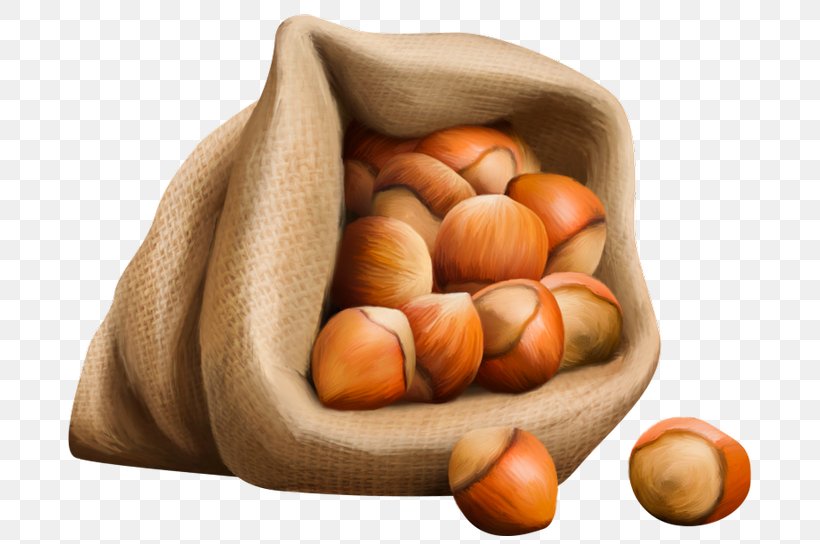 Hazelnut, PNG, 700x544px, Hazelnut, Food, Ingredient, Nut, Nuts Seeds Download Free
