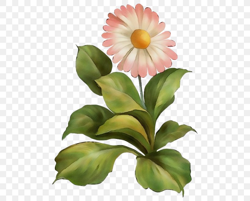 Petal Herbaceous Plant Floristry Annual Plant Plants, PNG, 500x658px, Watercolor, Annual Plant, Artificial Flower, Cut Flowers, Floristry Download Free