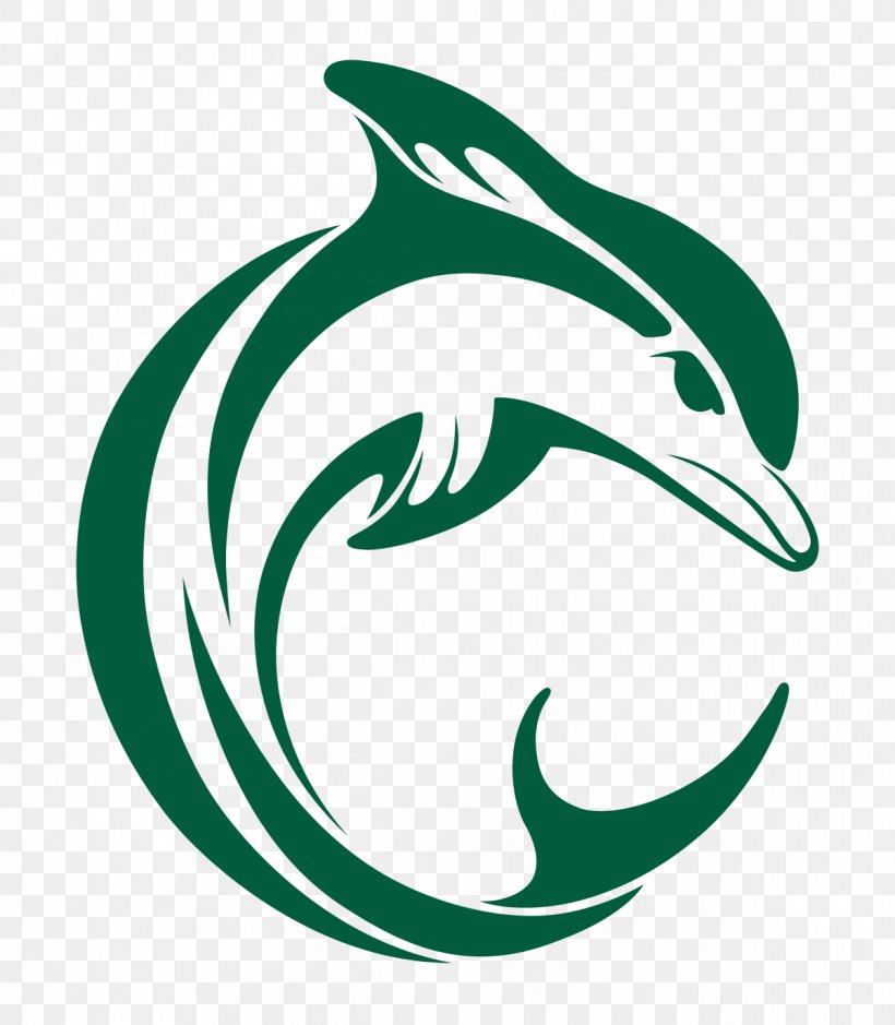 T-shirt Logo Graphic Design, PNG, 1200x1375px, Tshirt, Amazon River Dolphin, Area, Art, Dolphin Download Free
