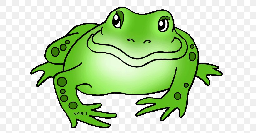 Amphibians American Bullfrog Clip Art, PNG, 648x428px, Amphibians, American Bullfrog, Amphibian, Animal Figure, Artwork Download Free