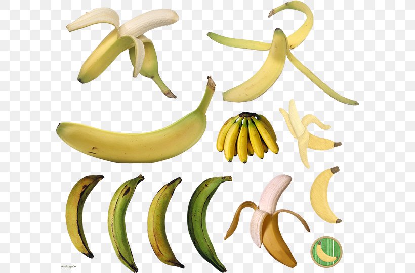 Cooking Banana Eating Commodity, PNG, 600x540px, Banana, Banana Family, Commodity, Cooking, Cooking Banana Download Free