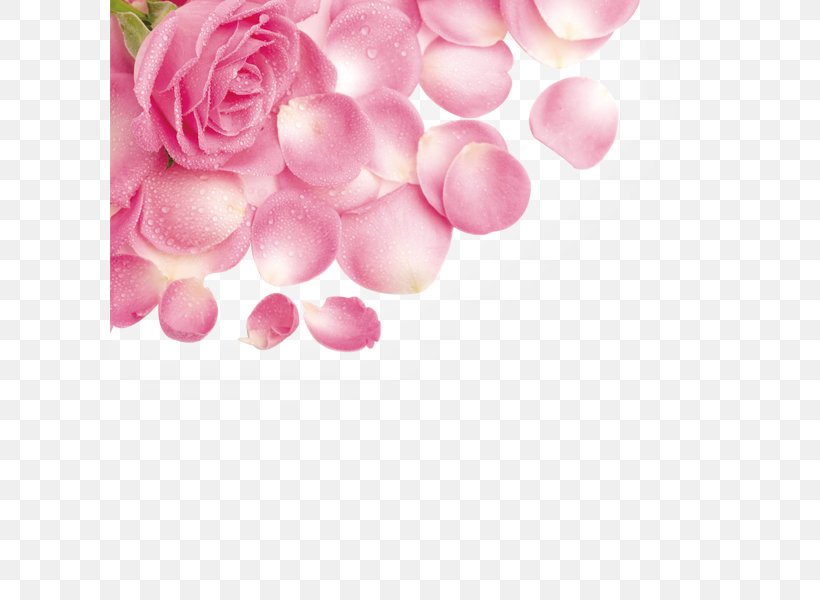 Rose Petal Flower Pink, PNG, 600x600px, Rose, Flower, Flower Bouquet, Heart, Magenta Download Free