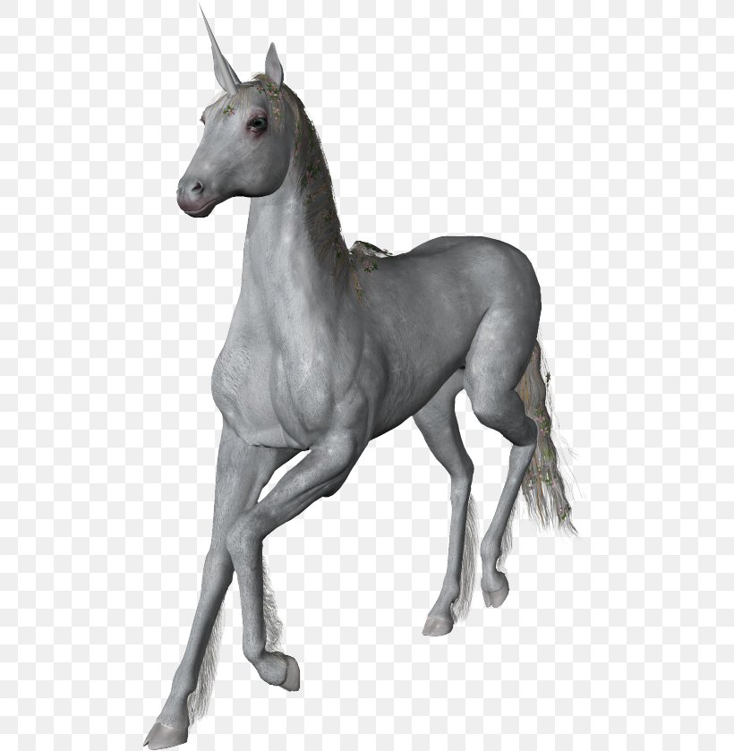 Unicorn Stallion Mustang Foal Horn, PNG, 501x839px, Unicorn, Amish, Blog, Colt, Fictional Character Download Free