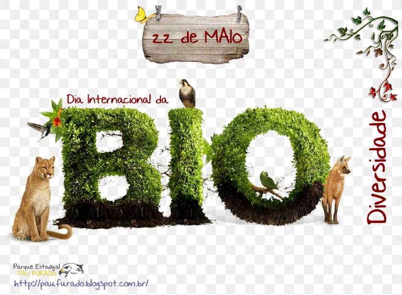 Biodiversity International Day For Biological Diversity Life Ecology Conservation International, PNG, 1600x1175px, Biodiversity, Carnivoran, Conservation, Conservation International, Datas Comemorativas Download Free