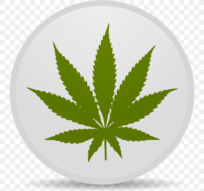 Hash, Marihuana & Hemp Museum Medical Cannabis Leaf Clip Art, PNG, 744x769px, Hash Marihuana Hemp Museum, Cannabinoid, Cannabis, Cannabis Social Club, Drawing Download Free