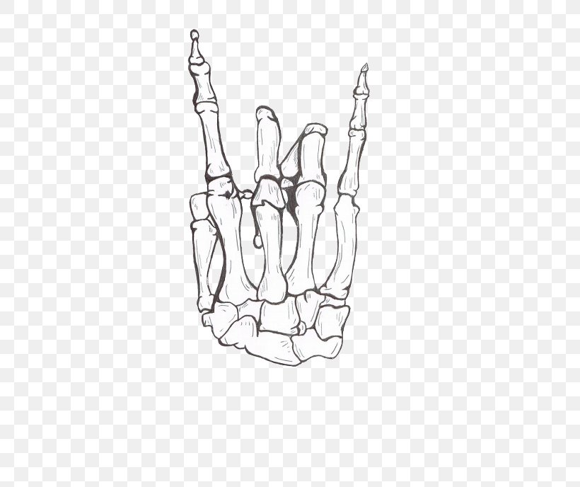 Human Skeleton Skull Hand Drawing, PNG, 500x688px, Human Skeleton, Anatomy, Area, Arm, Black And White Download Free