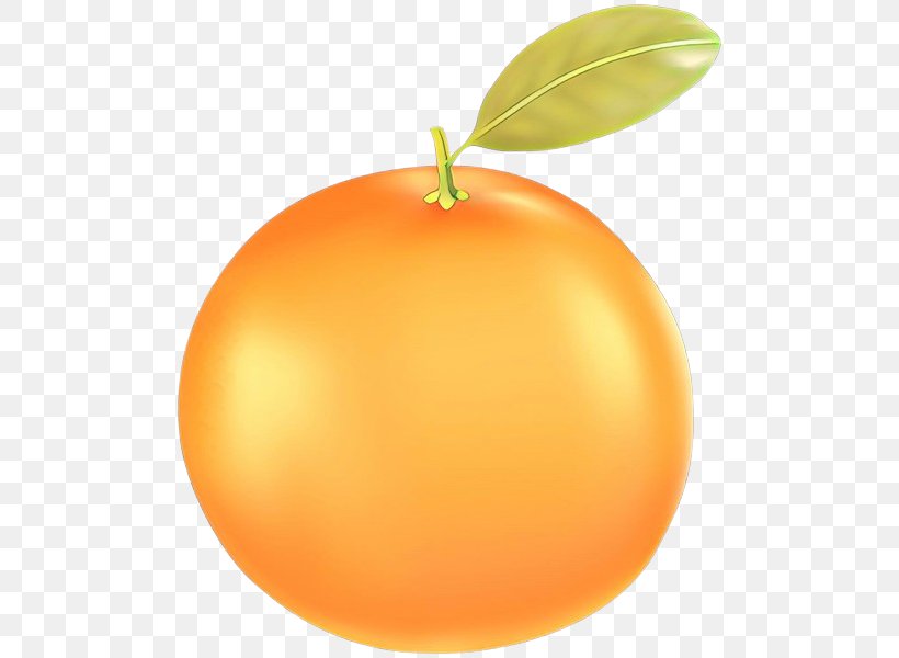 Orange, PNG, 502x600px, Cartoon, Citrus, Food, Fruit, Grapefruit Download Free