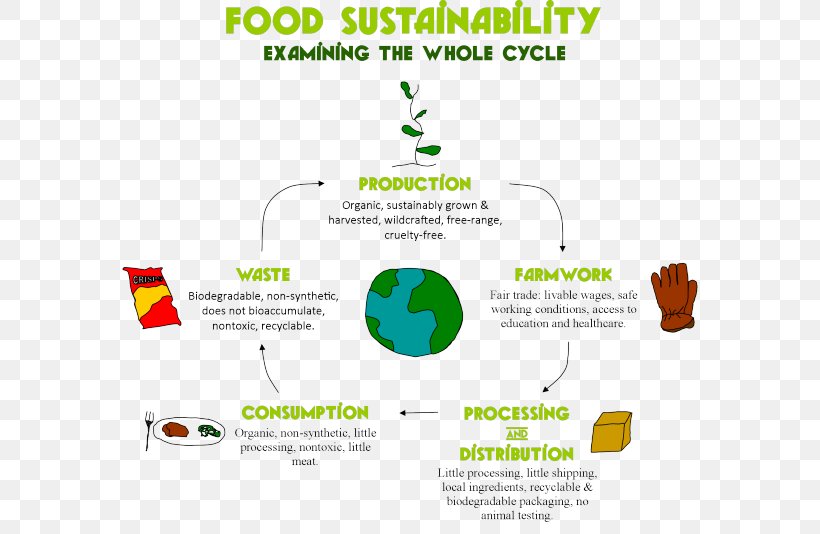Organic Food Sustainability Food Systems Food Processing, PNG, 576x534px, Organic Food, Area, Baking, Brand, Cooking Download Free