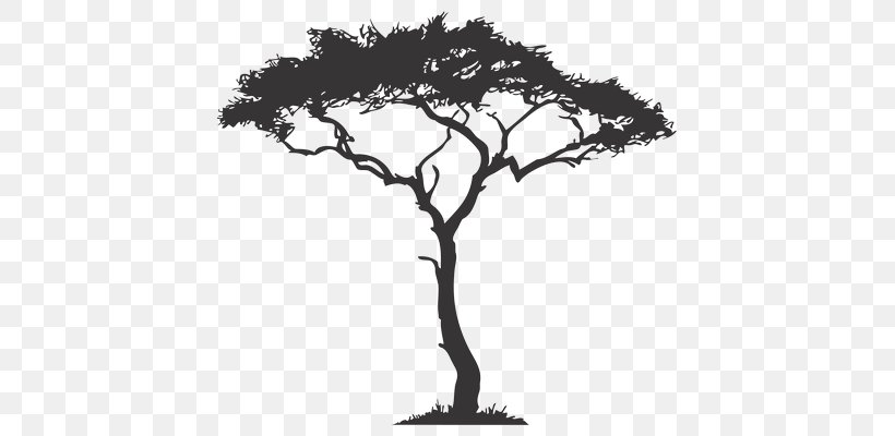 Africa Tree Drawing Decal, PNG, 645x400px, Africa, Arecaceae, Baobab, Black And White, Branch Download Free
