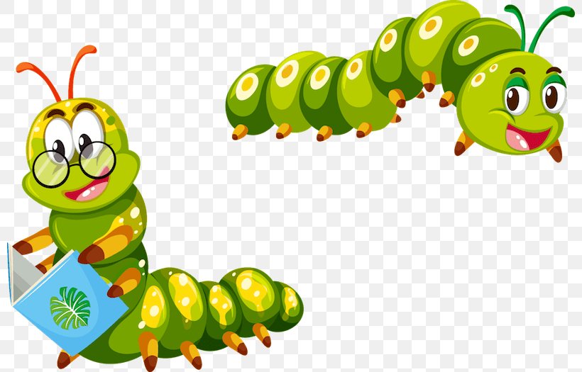 Caterpillar Cartoon, PNG, 800x525px, Insect, Animal Figure, Cartoon,  Caterpillar, Color Download Free