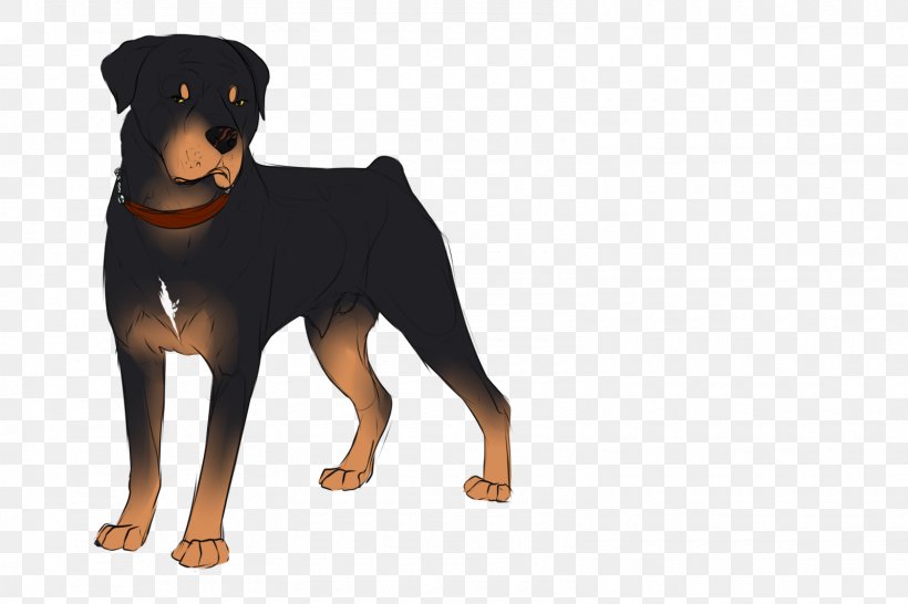 Dobermann Rottweiler Puppy Dog Breed German Pinscher, PNG, 1600x1067px, Dobermann, Breed, Carnivoran, Dog, Dog Breed Download Free