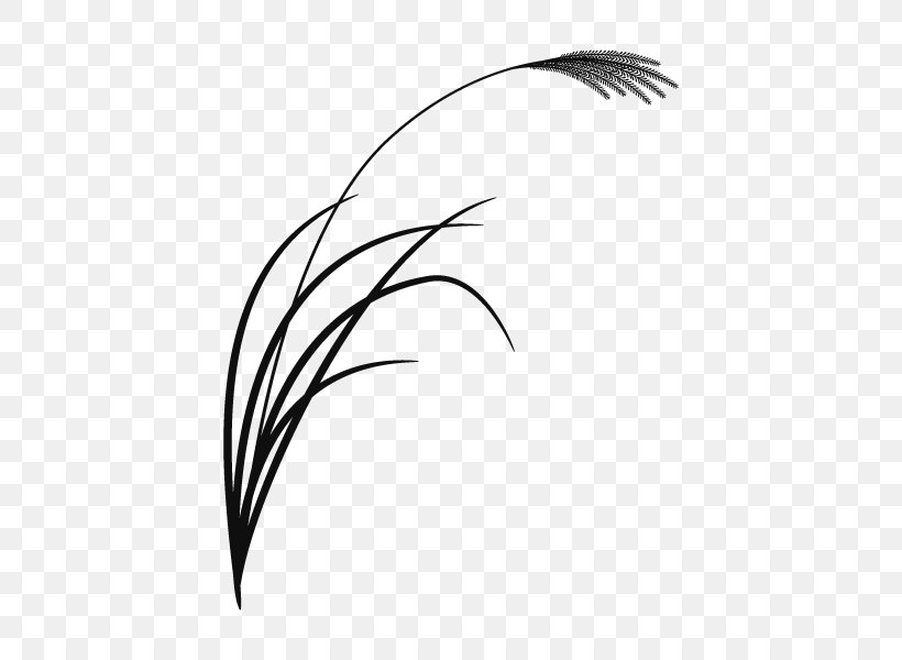 Font Feather Eyebrow Beak Leaf, PNG, 600x600px, Feather, Beak, Bird, Black, Black And White Download Free