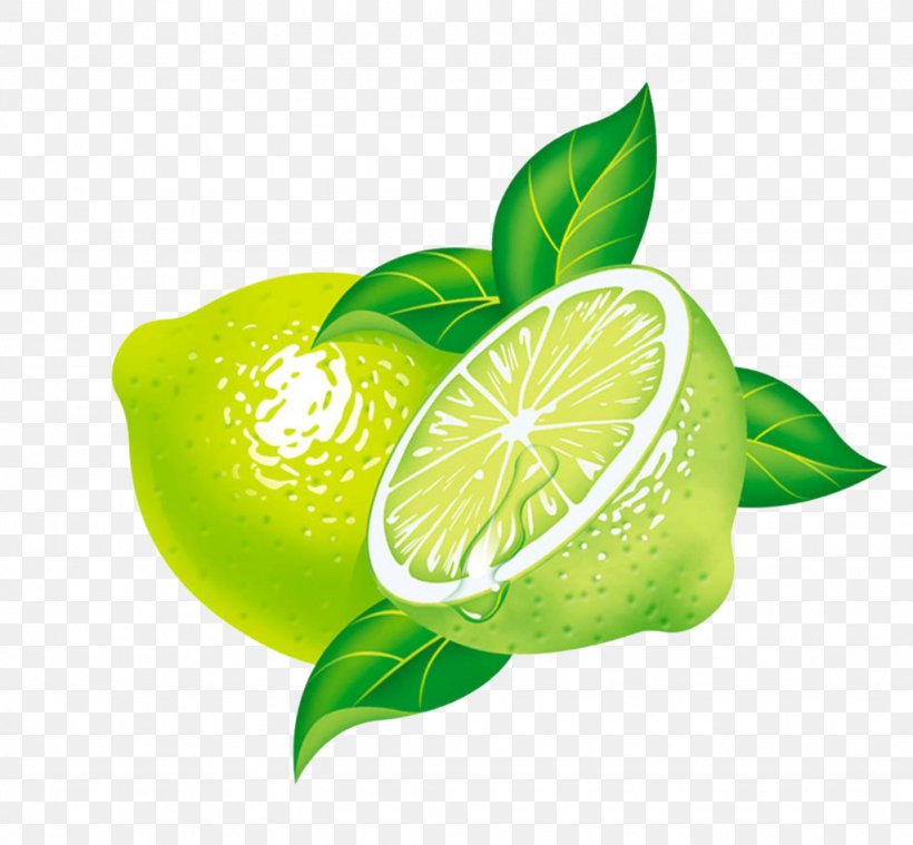 Key Lime Lemon Persian Lime, PNG, 1024x948px, Lime, Citric Acid, Citron, Citrus, Citrus Junos Download Free