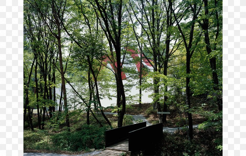 Nakamura Keith Haring Collection Art Museum キースへリング美術館 カフェ Biome, PNG, 1000x635px, Art, Art Museum, Biome, Book, Ecosystem Download Free