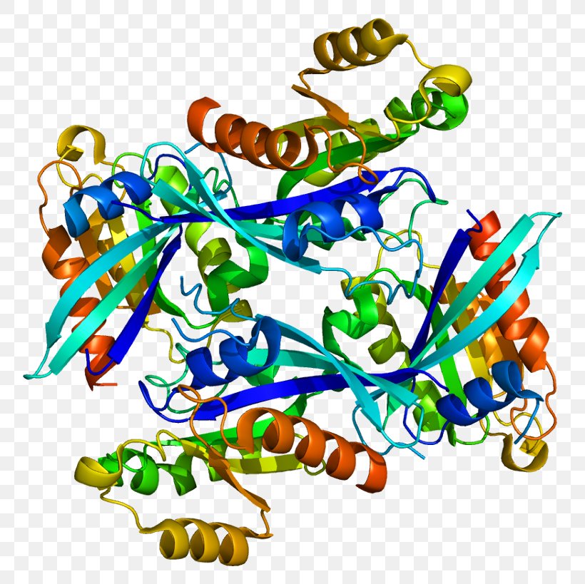 RAB2A Small GTPase Ras Subfamily Protein, PNG, 806x819px, Rab, Area, Art, Artwork, Bingo Download Free