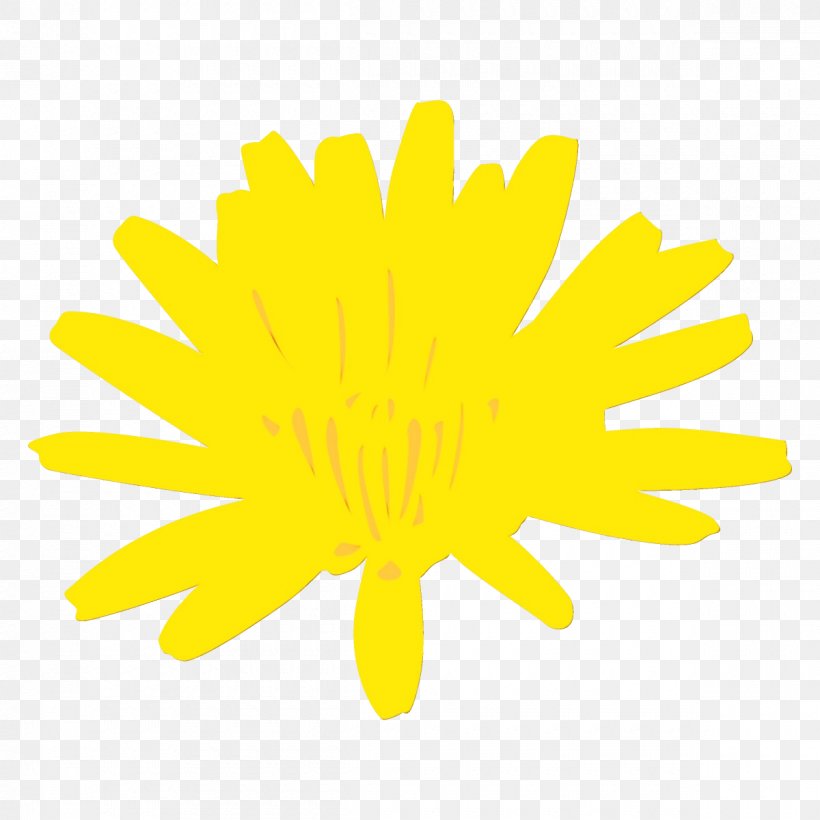 Sunflower, PNG, 1200x1200px, Watercolor, Dandelion, Flower, Paint, Plant Download Free