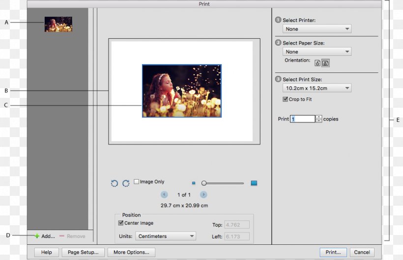 Computer Software Adobe Photoshop Elements Printer Printing Preview, PNG, 1056x685px, Computer Software, Adobe Photoshop Elements, Adobe Photoshop Express, Adobe Systems, Area Download Free